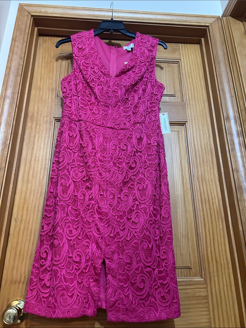 Bisou Bisou Hot Pink Lace Sheath Dress